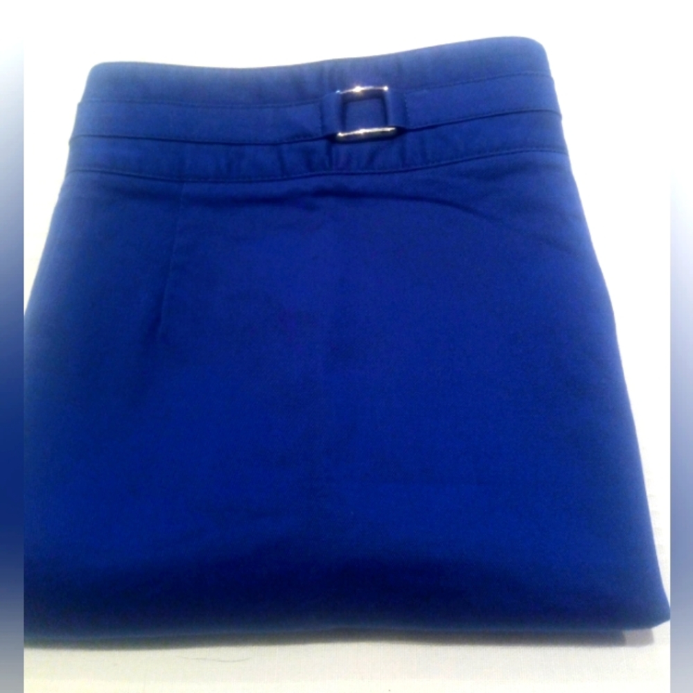 Jacob blue skirt, size 2. Inner lining